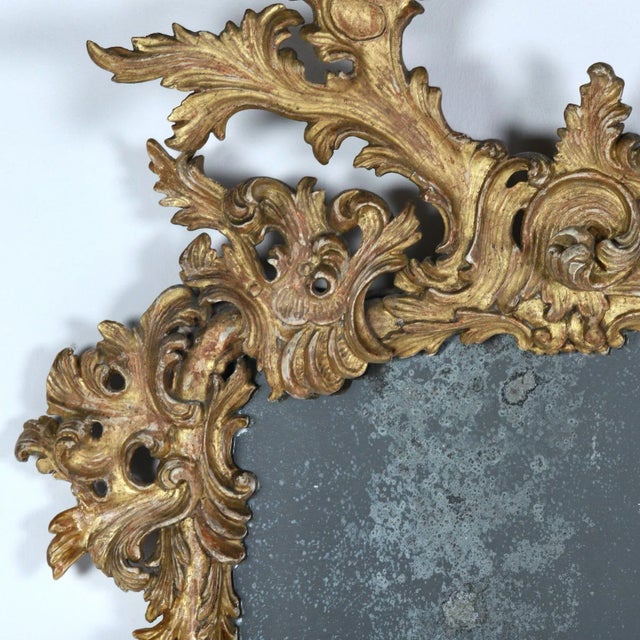 Wood 19th C. Italian Rococo Giltwood Mirror With Original Mirror Plate For Sale - Image 7 of 9