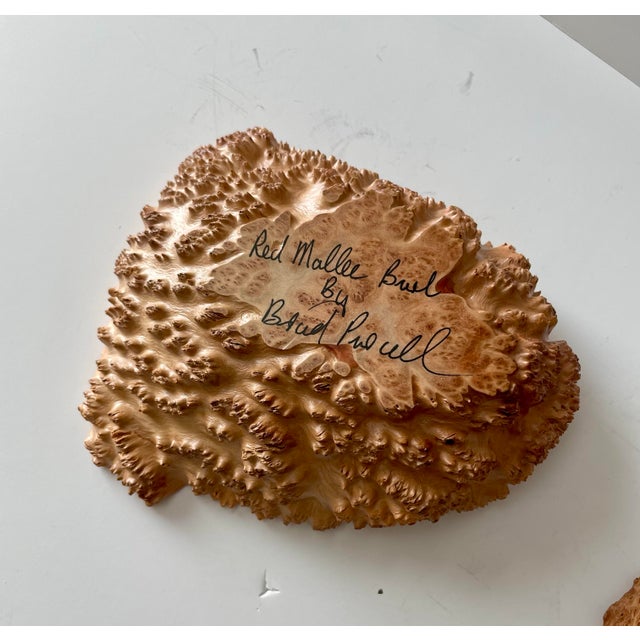 Wood Australian Eucalyptus Burl Wood Bowls Brutalism Style, a Pair For Sale - Image 7 of 12