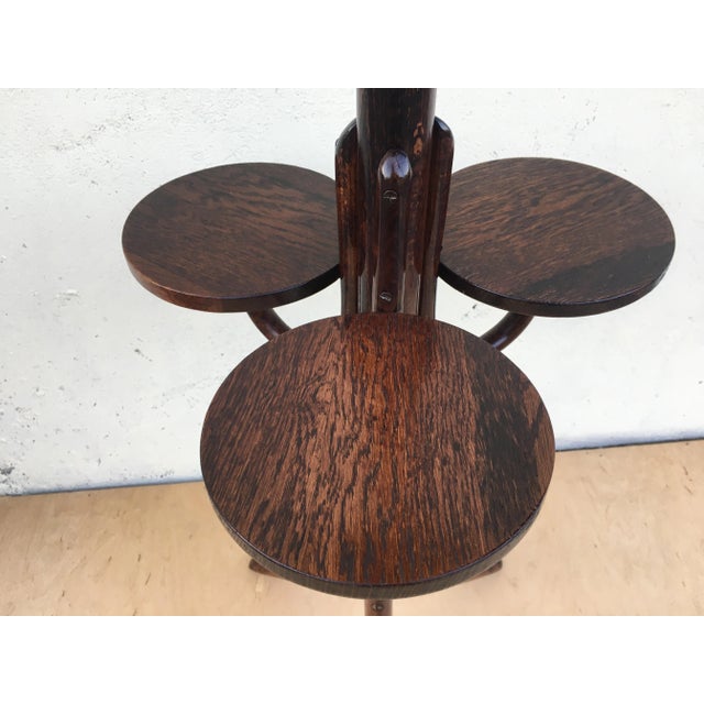 Bentwood Flower Bed from Thonet, 1940s For Sale - Image 15 of 18