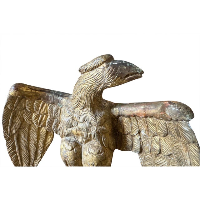 Late 18th Century Italian 18th Century Statue of an Eagle For Sale - Image 5 of 7