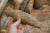 Old New House Antique Bronze Age African Stone Primitive Weapon For Sale - Image 4 of 8