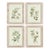 Framed Olive Leaf Botanical Prints, Set Of 4 For Sale