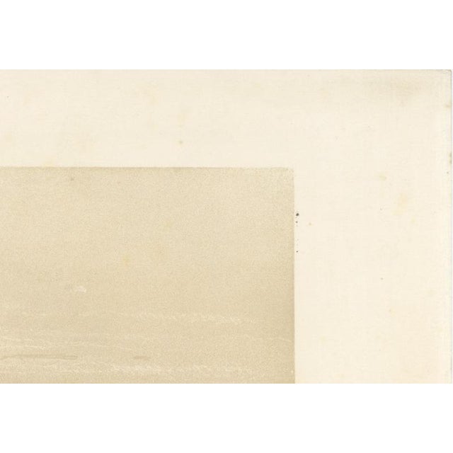 Mid 19th Century After Bayot, Rome Vatican Palace and Gardens from St Peter's Dome, 1869, Lithograph For Sale - Image 5 of 12