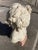 Stone Bust of 19th Century French Woman on Cube Marble Mount After Grinam Niam Paris For Sale - Image 7 of 13
