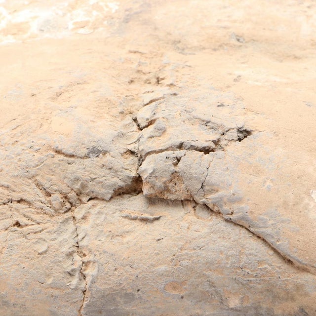 Antique Chinese Han Dynasty Polychrome Painted Terracotta Horse Funerary Tomb Figure For Sale - Image 9 of 17