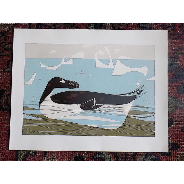 Vintage Charley Harper Modernist Abstracted Bird Lithographs (10.75" X 8.25") - Set of 9 For Sale - Image 4 of 11