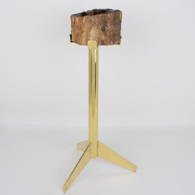 Wood Mid-Century Brass and Petrified Wood Ashtray Vide Poche Side Table, circa 1960 For Sale - Image 7 of 14