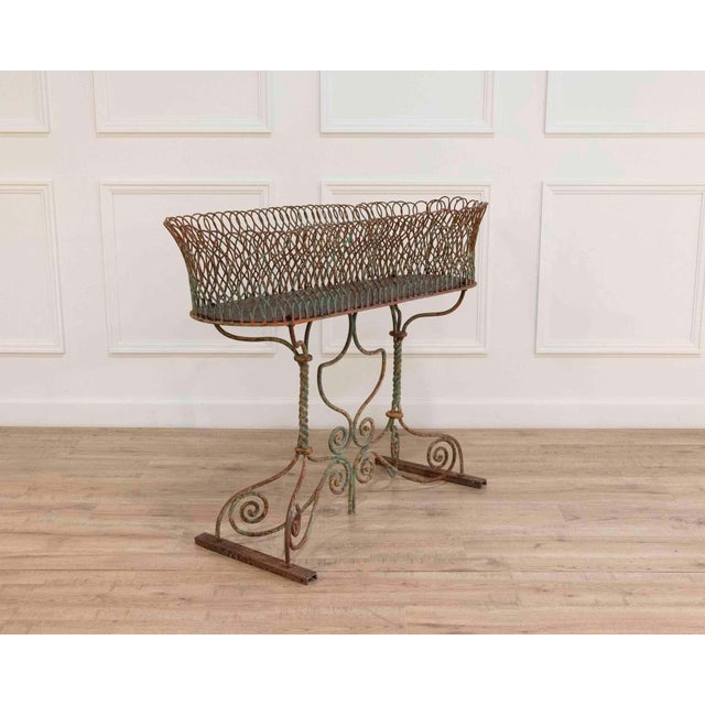 Brown Large 19th Century French Wrought Iron Planter, Napoleon III Period For Sale - Image 8 of 14