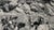 Contemporary José Nicolas, Les Marseillaises, 2010, Silver Gelatin Print For Sale - Image 3 of 6