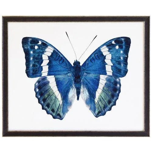 Boho Chic Blue and Green Butterfly - 32" X 16" For Sale - Image 3 of 3