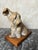 Terracotta Dog Figurine by R. Pollin, 1930 For Sale - Image 4 of 18