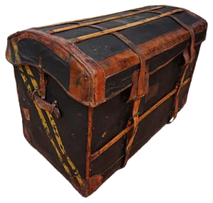 Belgian Steamer Trunk from Gustave de Laet, 1880s