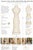 Figurative Late 20th Century Cream & Gold Gilded Scrollwork Wire Dress Form Sculpture For Sale - Image 3 of 3
