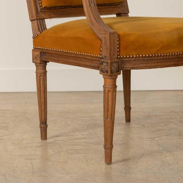 1920s French Louis XVI Style Armchair For Sale - Image 10 of 12