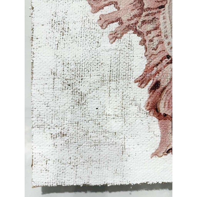 Textile Lace Murex — Hand Textured Pink Seashell Art For Sale - Image 7 of 9