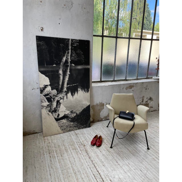 Wood Black and White Tree Photograph in Wood & Paper, 1970s For Sale - Image 7 of 18