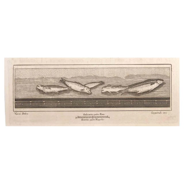 Francesco Cepparoli, Decoration with Fishes, Etching, 18th Century For Sale