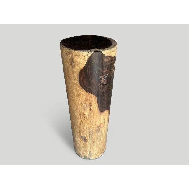 2010s Andrianna Shamaris Exquisite Rosewood Side Table or Pedestal For Sale - Image 5 of 6