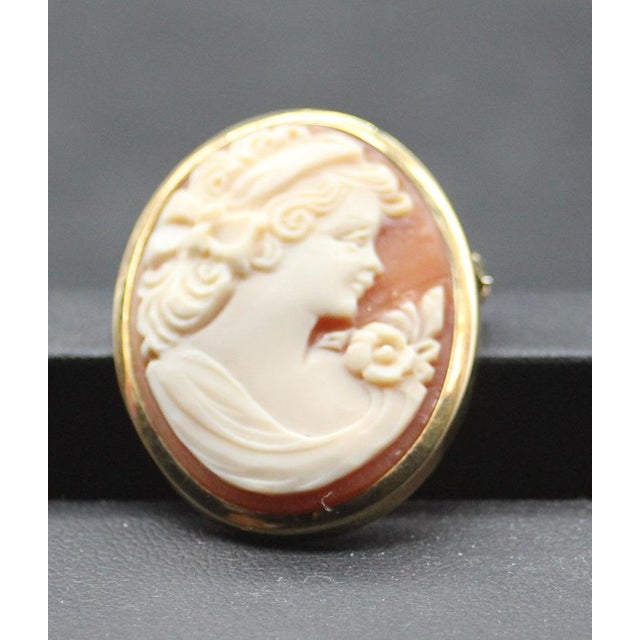 Cameo Brooch and Pendant in Shell and Gold For Sale - Image 10 of 10