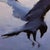 Abstract Krummi nr. 57 by Thorgrimur Einarsson | Oil on wood panel Abstract depiction of a flying raven. For Sale - Image 3 of 5