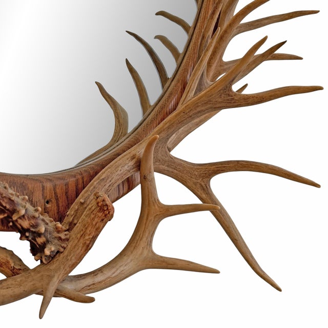 Bone Whitetail Deer Antler Framed Mirror For Sale - Image 7 of 11