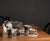 Black Scenario Metropol Tea and Coffee Cup with Saucer from Rosenthal, 1990, Set of 2 For Sale - Image 8 of 9