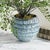 Vista Pot For Sale In Chicago - Image 6 of 7