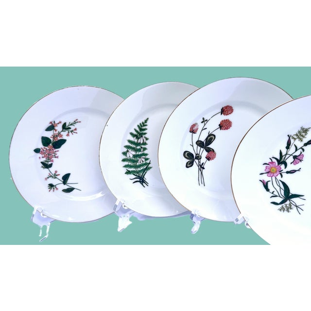 Victorian Late 19th Century Limoges Cabinet Plate Collection - Set of 8 For Sale - Image 3 of 16