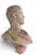 Classical Roman 20th Century Architectural Concrete Bust — Classical Style For Sale - Image 3 of 5
