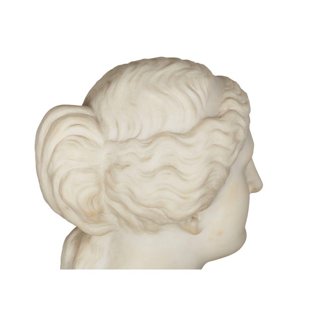 Grand Tour Marble Sculpture Statue Bust of Venus De Milo After the Antique For Sale - Image 13 of 15