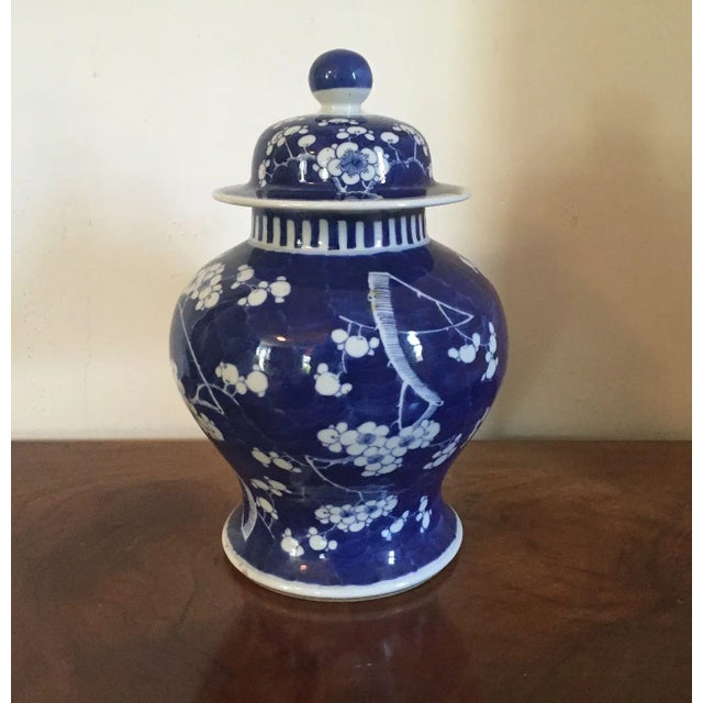 19th Century 19th Century Chinese Blue & White Porcelain Prunus or Hawthorne Urn For Sale - Image 5 of 11