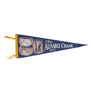 Vintage Ausable Chasm Ny Felt Flag