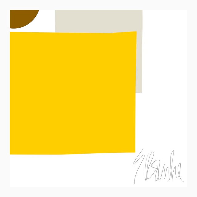 Yellow Tuxedo Fine Art Print 45" X 55" by Liz Roache For Sale In Boston - Image 6 of 7