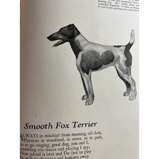 Green 1927 Dogs by Julius King Book For Sale - Image 8 of 13