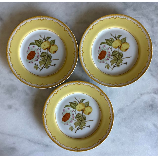 Mid 20th Century Set of 7 Somerset Plates by Georges Briard With Botanical Fruit Design For Sale - Image 5 of 10