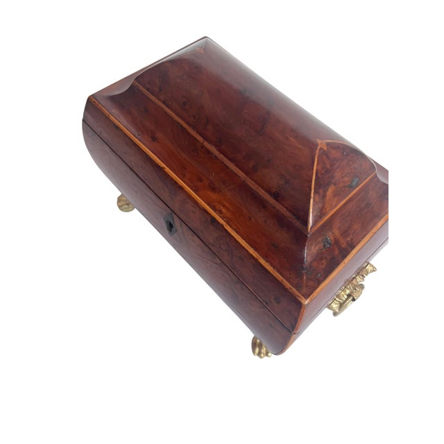 English English Burr Yew Tea Caddy For Sale - Image 3 of 6