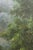 Large Hand Painted Oil Painting on Canvas Outdoor Garden Scene For Sale - Image 14 of 18