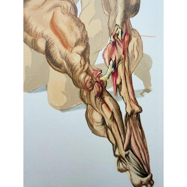 Salvador Dali, The Misers and the Prodigals, Woodcut For Sale - Image 4 of 7