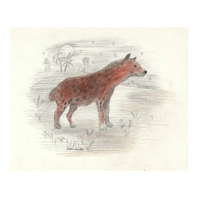 1940s Helen Malta Hyena Drawing For Sale