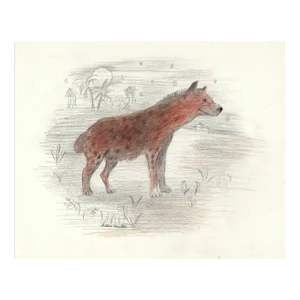 1940s Helen Malta Hyena Drawing