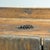 Wood Vintage Pantry Cabinet in Oak, 1820 For Sale - Image 7 of 16