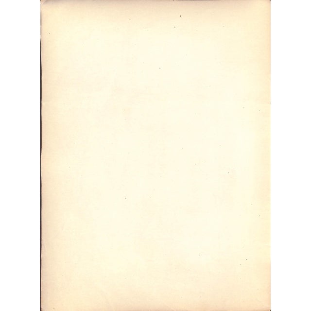 Traditional Mid 20th Century P.D. Armour by Carlo De Fornaro Reproduction Print For Sale - Image 3 of 3