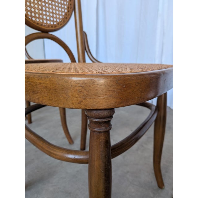 Mid-Century Modern Bentwood Cane Dining Chairs, 1970s, Set of 4 For Sale - Image 14 of 18