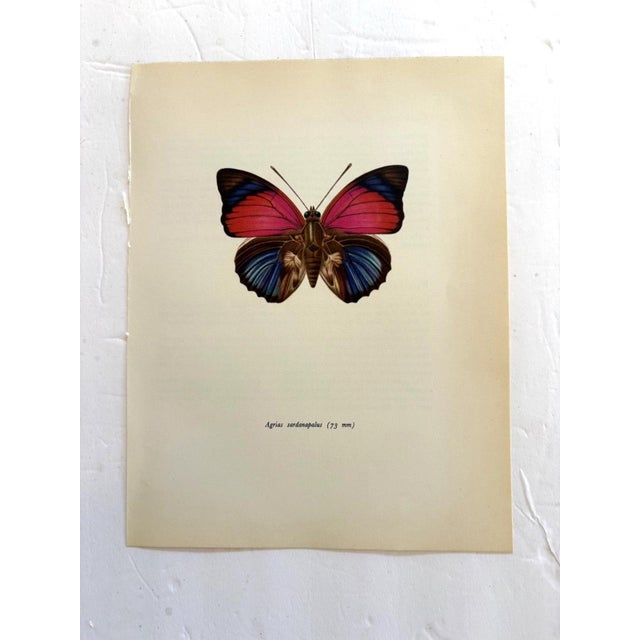 Up for sale is this gorgeous lithograph by F. Prochazka, published in Great Britain in 1965. It is in excellent, gently-...
