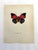 Up for sale is this gorgeous lithograph by F. Prochazka, published in Great Britain in 1965. It is in excellent, gently-...