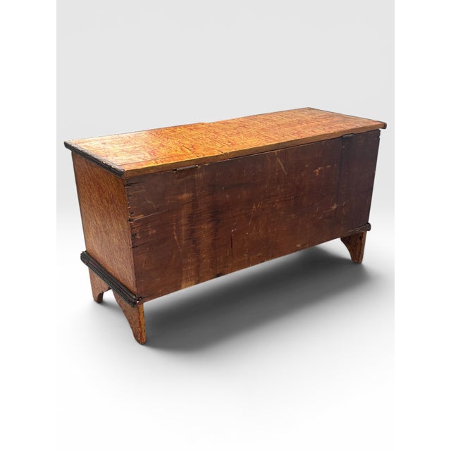19th-Century Pennsylvania Paint-Decorated Blanket Chest. For Sale - Image 11 of 12