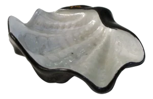Studio Art Pottery Clam Shell Bowl, Artist Signed