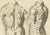 After De Lairesse, Anatomical Back Studies Academic Figure, 1745, Paper For Sale - Image 4 of 10