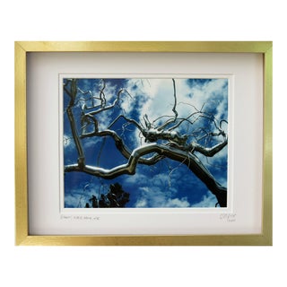 Limited Edition Framed Architectural Photography by C.. Damien Fox For Sale