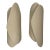 Olivia Cognet Ivory Palm Sconces, Pair For Sale